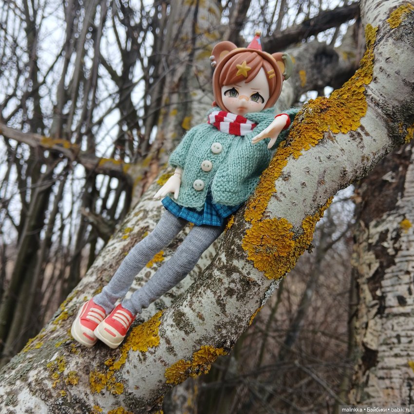 Как Оливка сегодня была моей спутницей (фото 8)