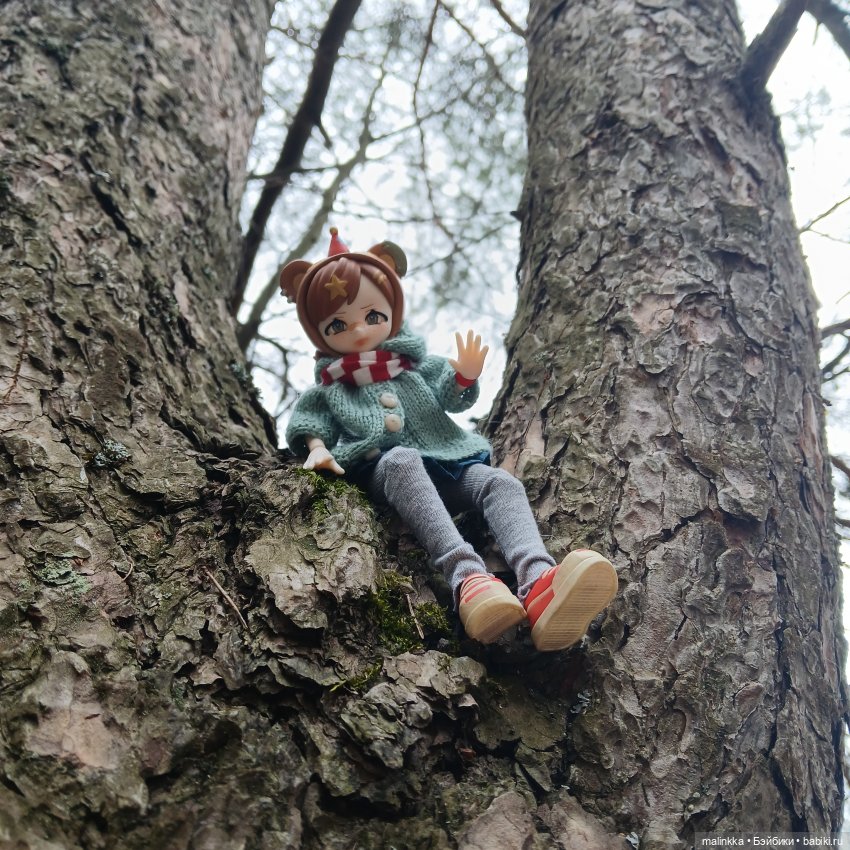 Как Оливка сегодня была моей спутницей