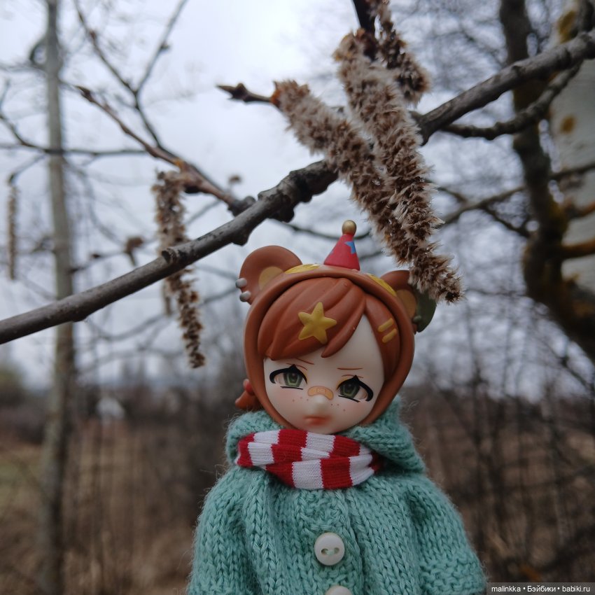 Как Оливка сегодня была моей спутницей (фото 10)