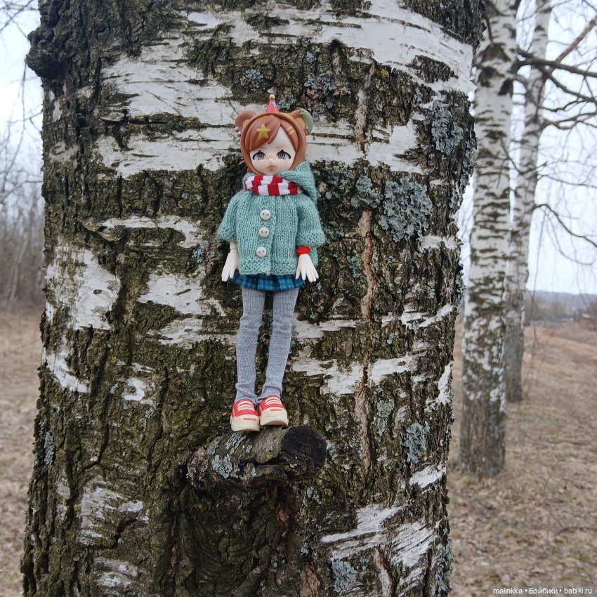 Как Оливка сегодня была моей спутницей