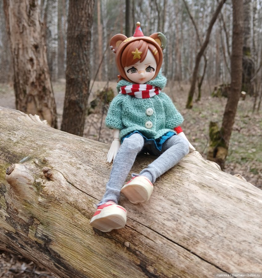 Как Оливка сегодня была моей спутницей (фото 2)