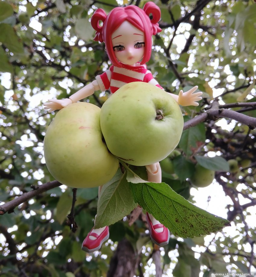 Дачница Эвелинка Eve Lynna