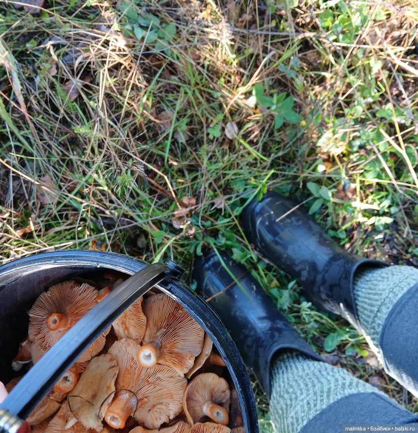 А пойдёмте с нами в лес, там полным полно чудес!!! Сашенька Come4arts (фото 10)
