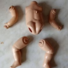 Тело с конечностями