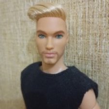 Кукла Кен Barbie Looks 5 Шон