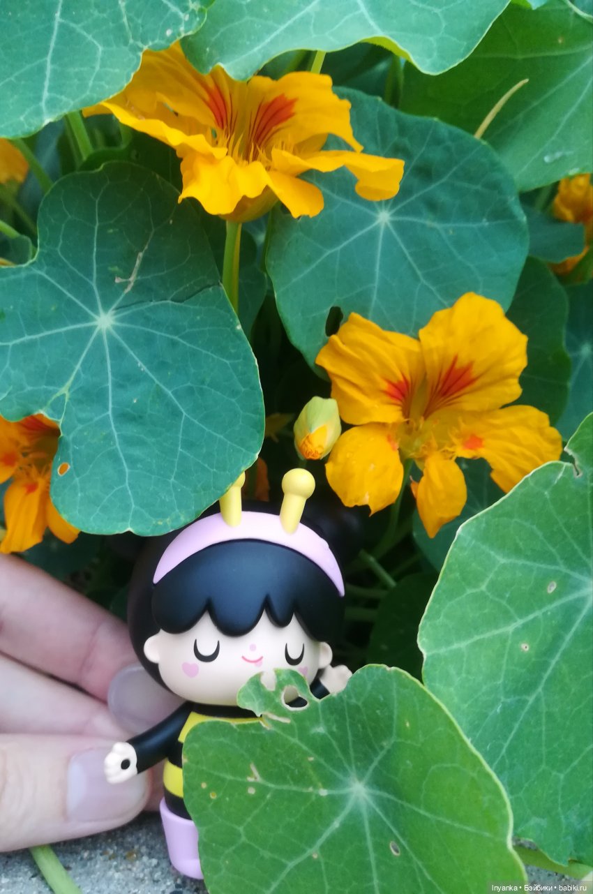 Один летний день маленькой трудолюбивой пчёлки