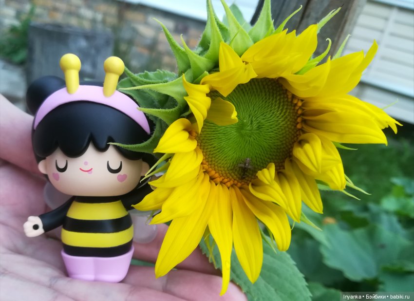 Один летний день маленькой трудолюбивой пчёлки