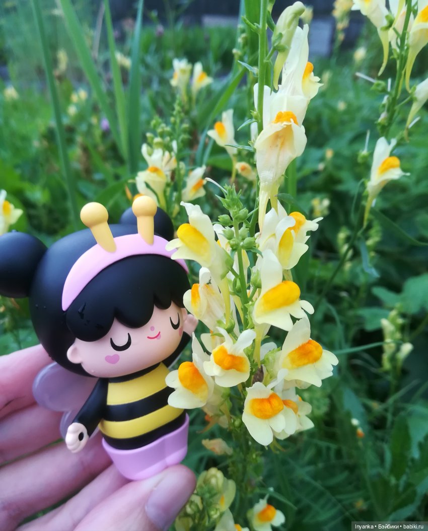 Один летний день маленькой трудолюбивой пчёлки