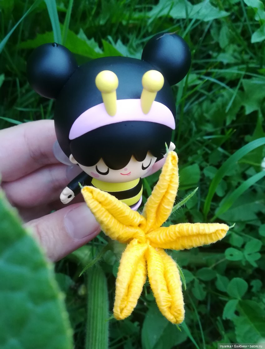 Один летний день маленькой трудолюбивой пчёлки