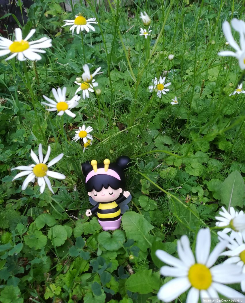 Один летний день маленькой трудолюбивой пчёлки (фото 5)