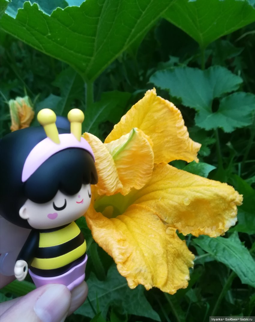 Один летний день маленькой трудолюбивой пчёлки (фото 10)