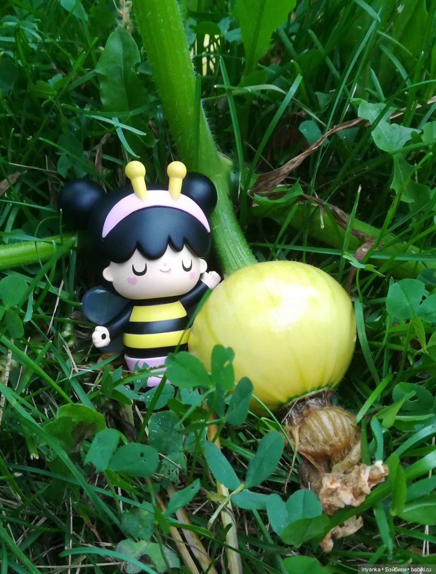 Один летний день маленькой трудолюбивой пчёлки (фото 7)