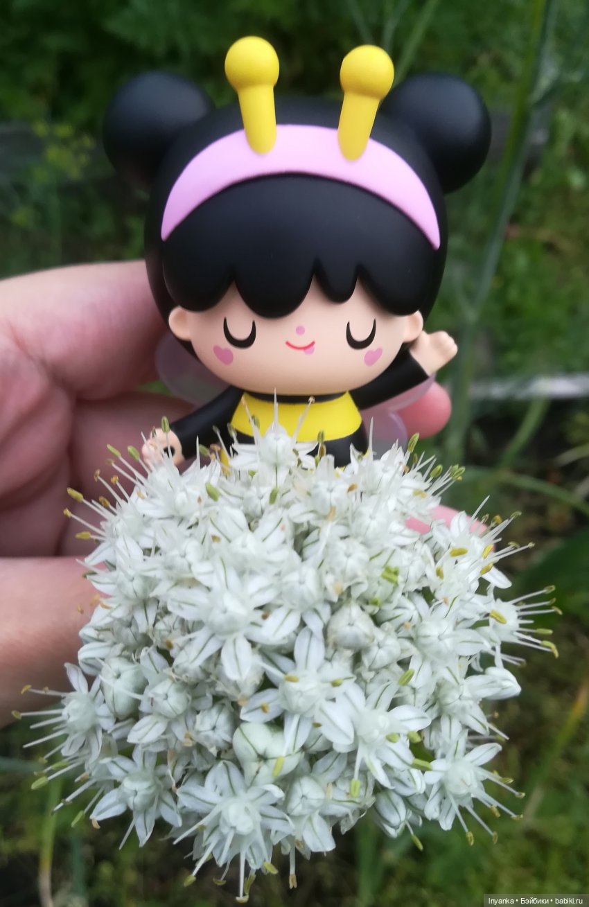 Один летний день маленькой трудолюбивой пчёлки (фото 6)