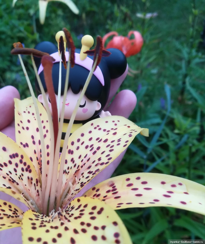 Один летний день маленькой трудолюбивой пчёлки