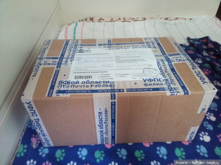 Записки начинающего кукольника: месяц первый