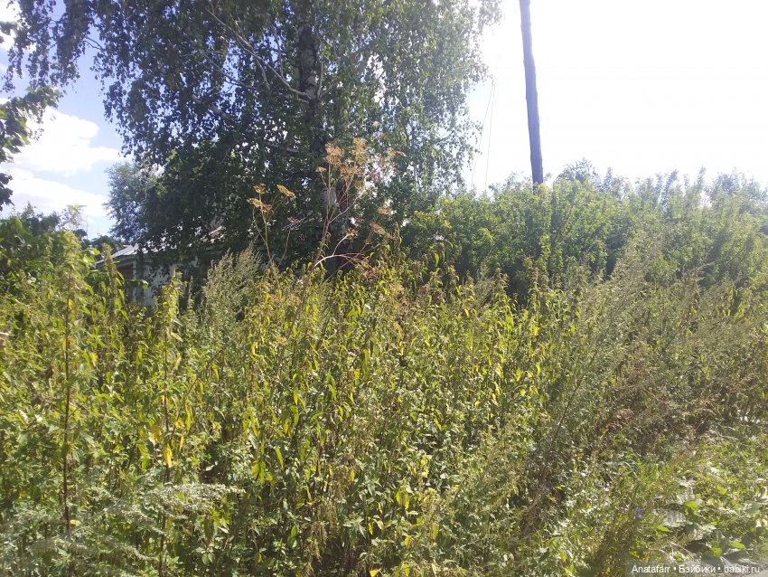 Фото из глубинки. Гуляем по заброшкам