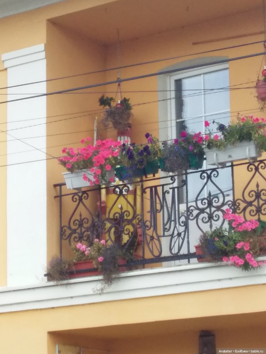 Мы в город Изумрудный идем дорогой трудной (фото 7)