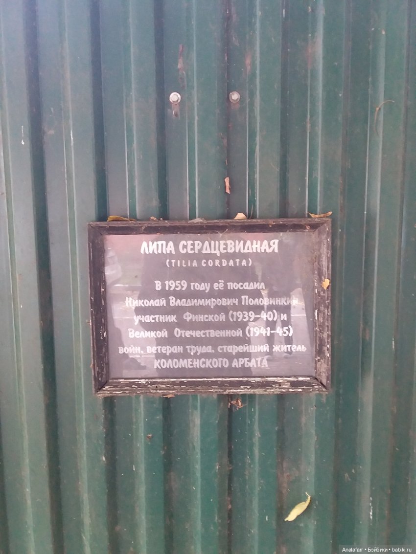 Мы в город Изумрудный идем дорогой трудной