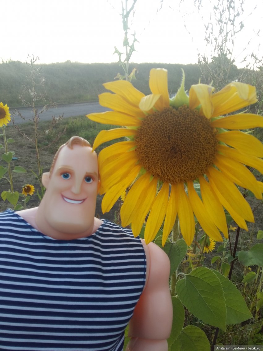 Лето - это... Провожаем жаркие дни (фото 8)