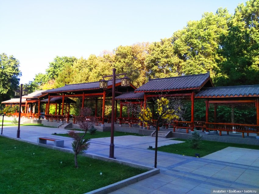 Travel-блог. Часть 8. Парк Конфуция в Самарканде (фото 7)