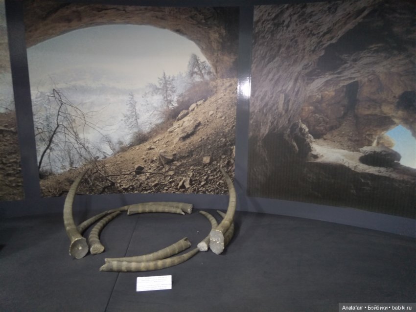 Travel-блог. Часть 11. Археологический музей Термеза