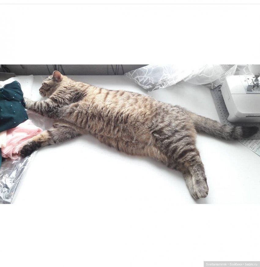 Кто в доме хозяин — Болталка и разговоры обо всем: жизнь (фото 3)