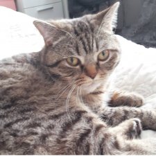 Кто в доме хозяин?