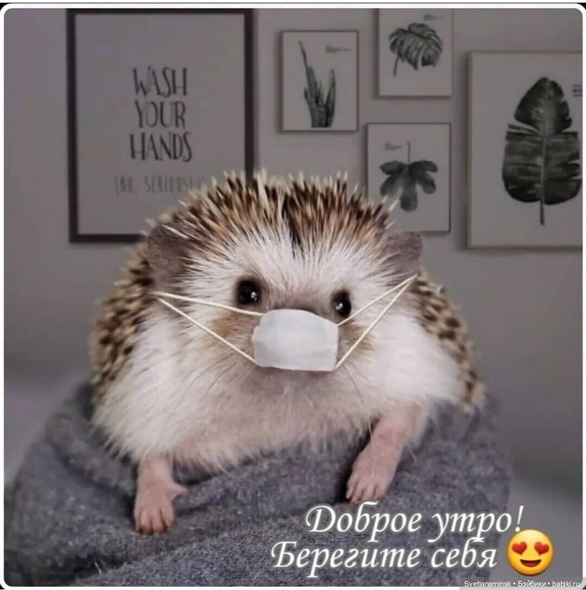 Исцеление от страха | Бэйбики Исцеление от страха — Болталка и разговоры обо всем: жизнь (фото 3)