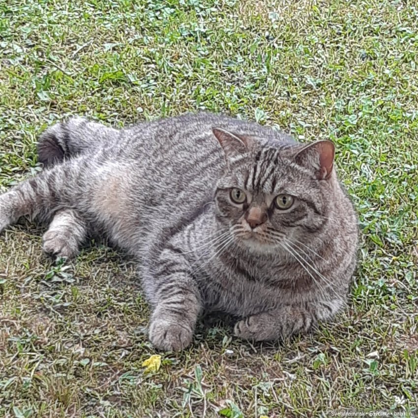 Мое лето — Болталка и разговоры обо всем: жизнь