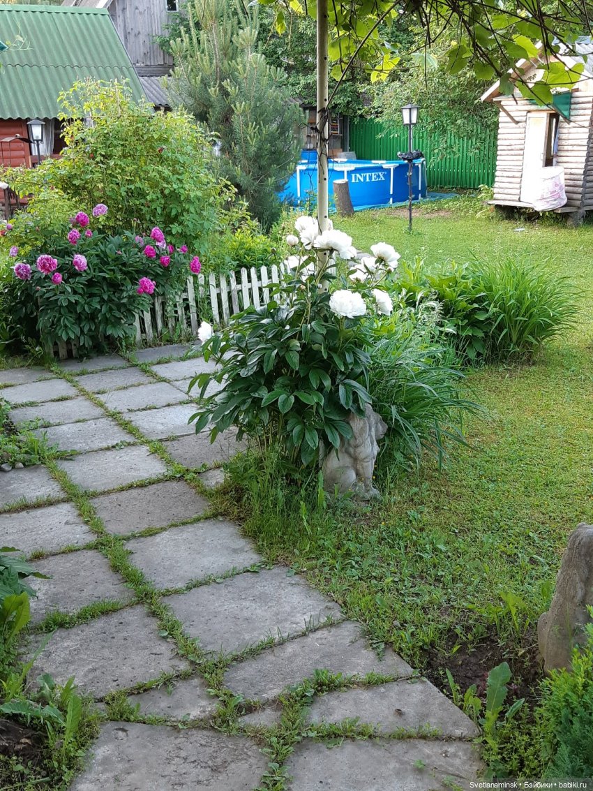 Мое лето — Болталка и разговоры обо всем: жизнь (фото 4)