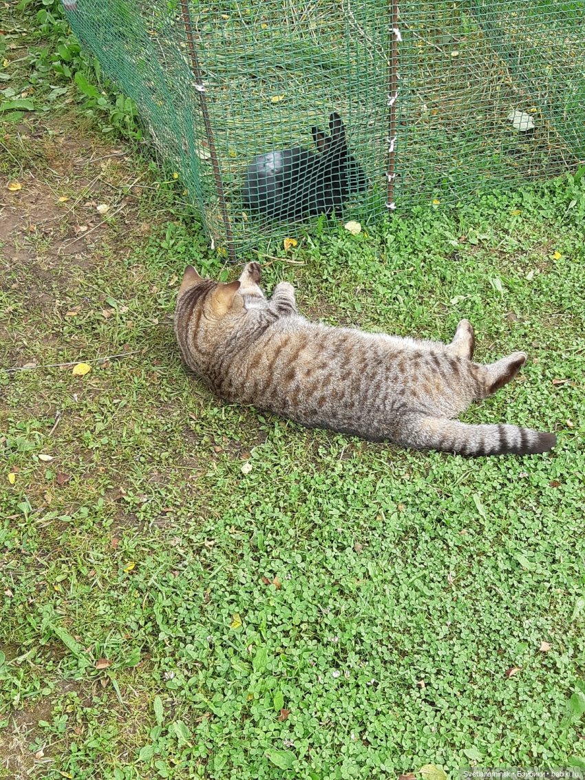 Мое лето — Болталка и разговоры обо всем: жизнь (фото 5)