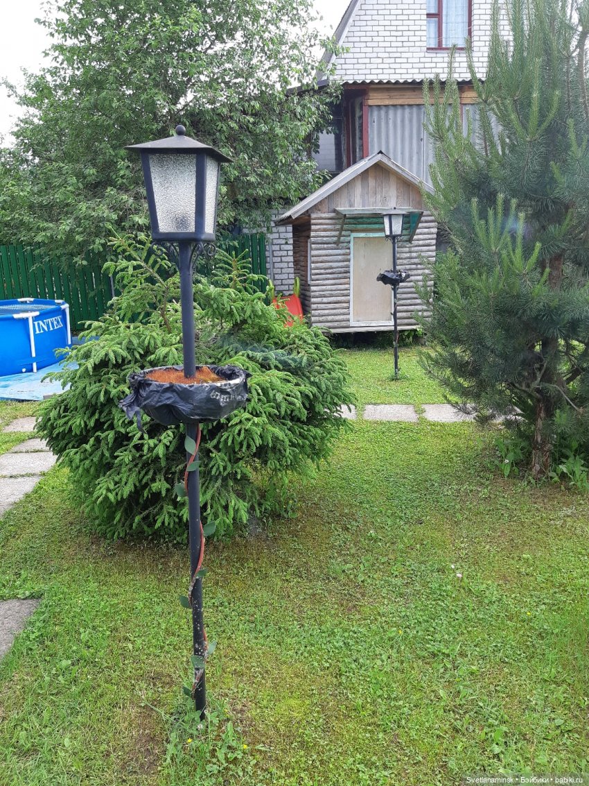 Мое лето — Болталка и разговоры обо всем: жизнь (фото 2)