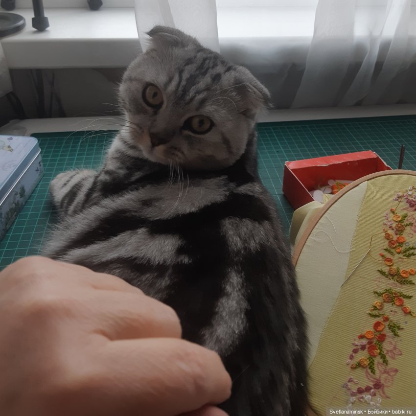 Цветы на снегу | Бэйбики Цветы на снегу — Одежда и обувь для кукол своими руками: фото (фото 2)