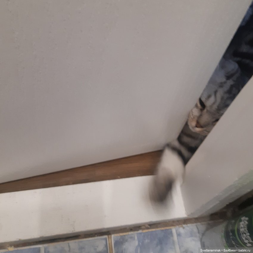 Цветы на снегу | Бэйбики Цветы на снегу — Одежда и обувь для кукол своими руками: фото