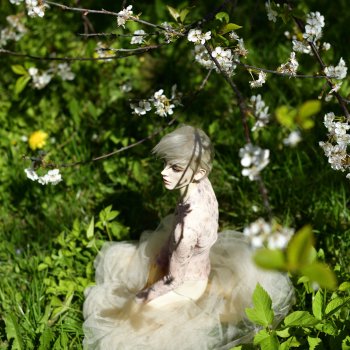 Бабочки (в животе)