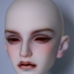 Голова LLT Roderich