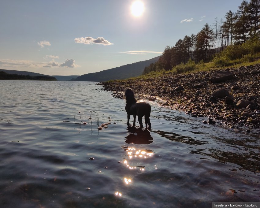 Спирит, которого никто не смог сломить | Бэйбики Спирит, которого никто не смог сломить (фото 6)
