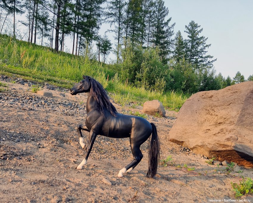 Спирит, которого никто не смог сломить | Бэйбики Спирит, которого никто не смог сломить (фото 10)
