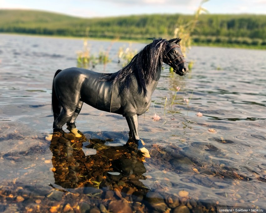 Спирит, которого никто не смог сломить | Бэйбики Спирит, которого никто не смог сломить (фото 8)