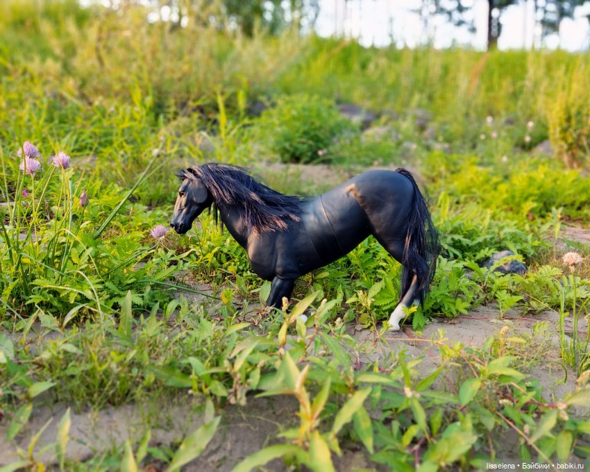Спирит, которого никто не смог сломить | Бэйбики Спирит, которого никто не смог сломить