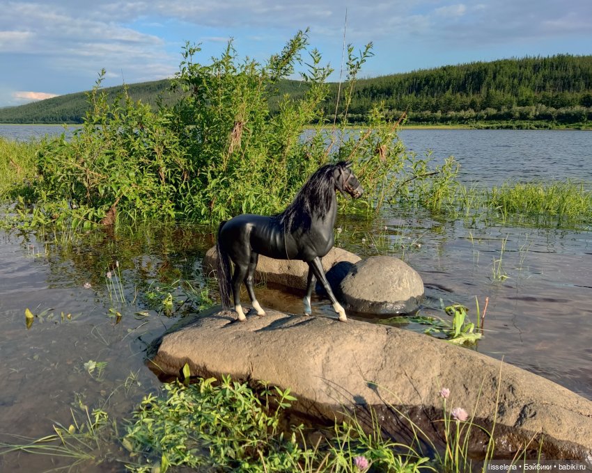 Спирит, которого никто не смог сломить | Бэйбики Спирит, которого никто не смог сломить (фото 5)