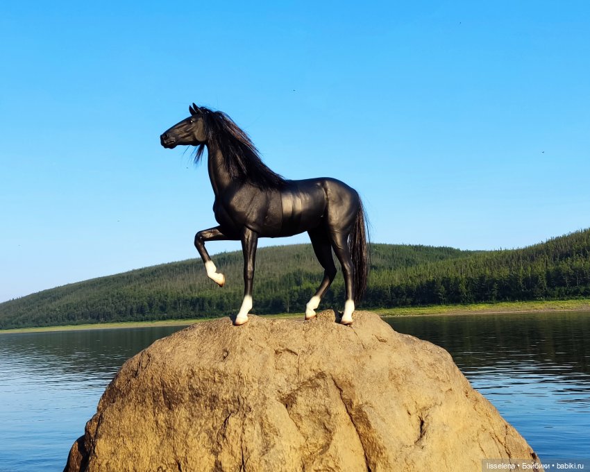 Спирит, которого никто не смог сломить | Бэйбики Спирит, которого никто не смог сломить (фото 9)