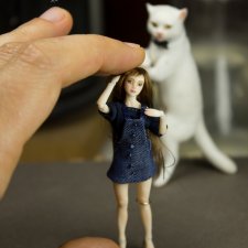 Шарнирная кукла в масштабе 1/24 как осложнение после карантина