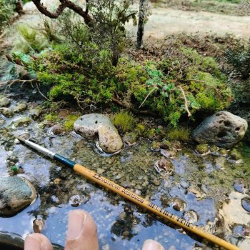 Природа в работах тайского мастера ก้อง โมเดล