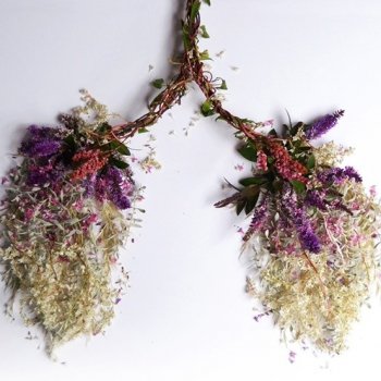 Цветы внутри нас: удивительный проект «Eye Heart Spleen» Камилы Карлоу