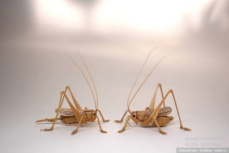 Оживший бамбук: невероятные насекомые Нориюки Саито