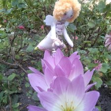 Один день из жизни ангела