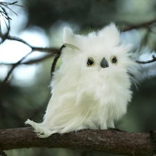 Сова в заколдованном лесу