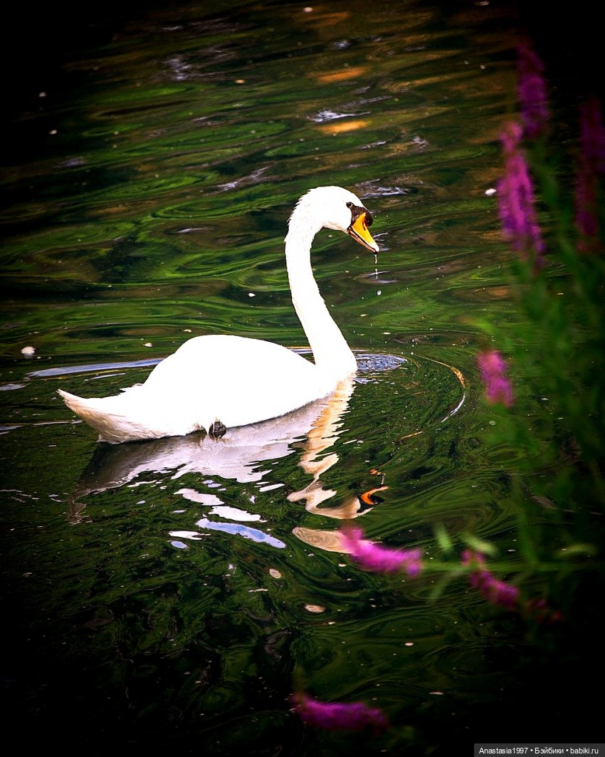 Сказочный мир. Сезон 1, часть 14