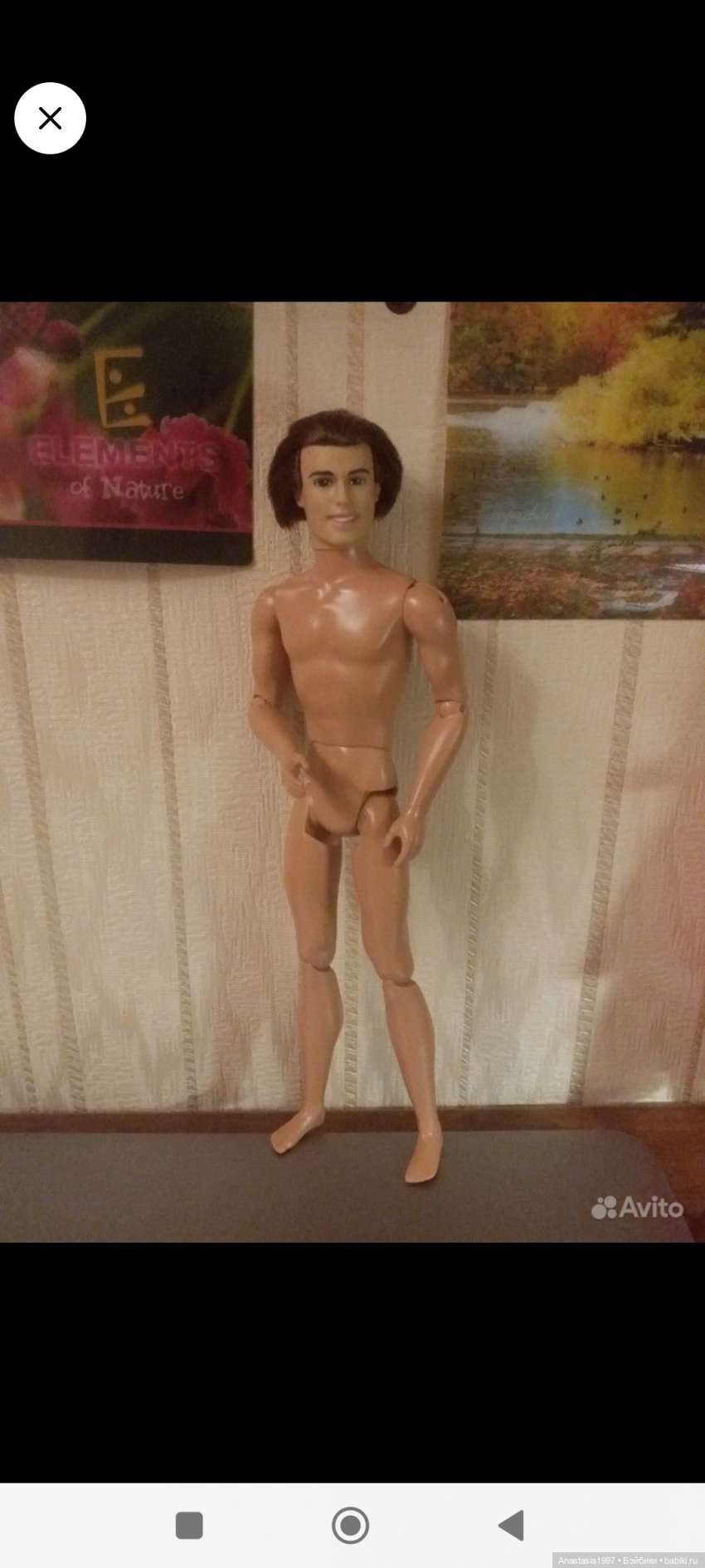 Гибриды. Тушки мужской части населения